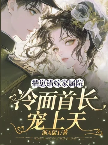 揣崽錯嫁家屬院，冷麵首長寵上天