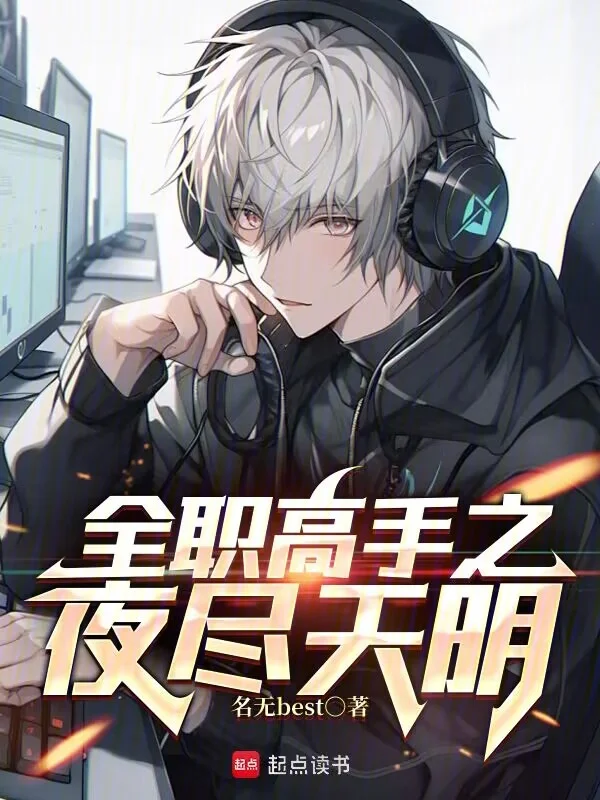 全職高手之夜盡天明