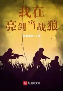 我在亮劍當戰狼