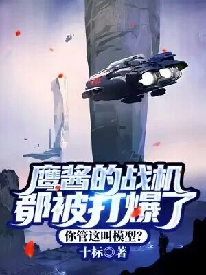 鷹醬的戰機都被打爆了，你管這叫模型？