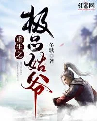 重生之極品姑爺