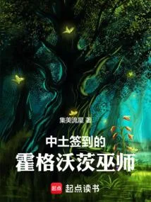 中土簽到的霍格沃茨巫師