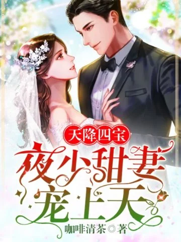 天降四寶：夜少甜妻寵上天