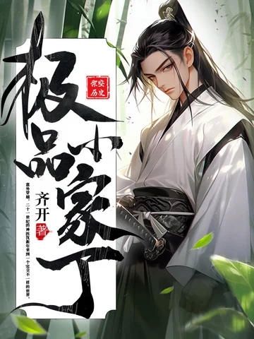 極品小家丁
