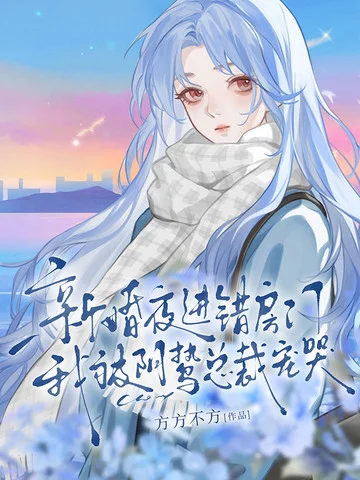 新婚夜進錯房門，我被陰鷙總裁寵哭