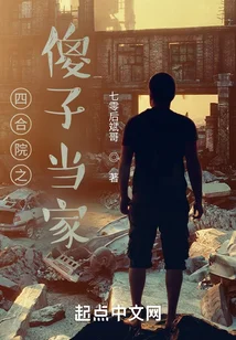 四合院之傻子當家