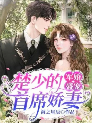 軍婚盛寵：楚少的首席嬌妻