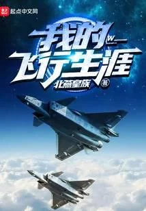 我的飛行生涯