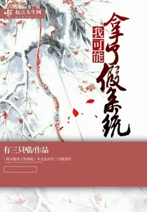 我可能拿了假系統