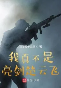 我真不是亮劍楚雲飛