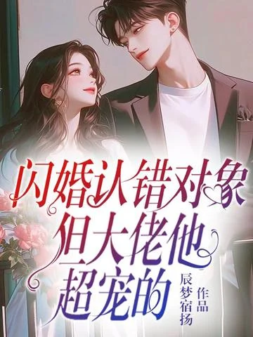 閃婚認錯物件，但大佬他超寵的