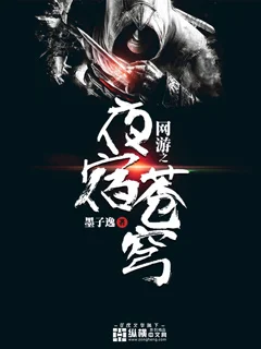 網遊之夜宿蒼穹