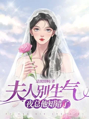 夫人別生氣夜總他知錯了
