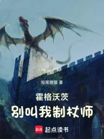 霍格沃茨：別叫我制杖師