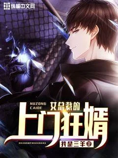 女總裁的上門狂婿