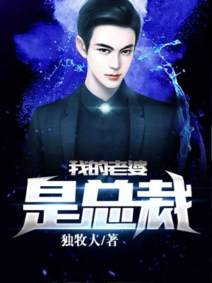 我的老婆是總裁