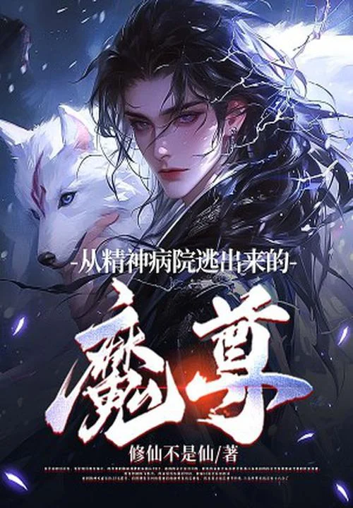 從精神病院逃出來的魔尊