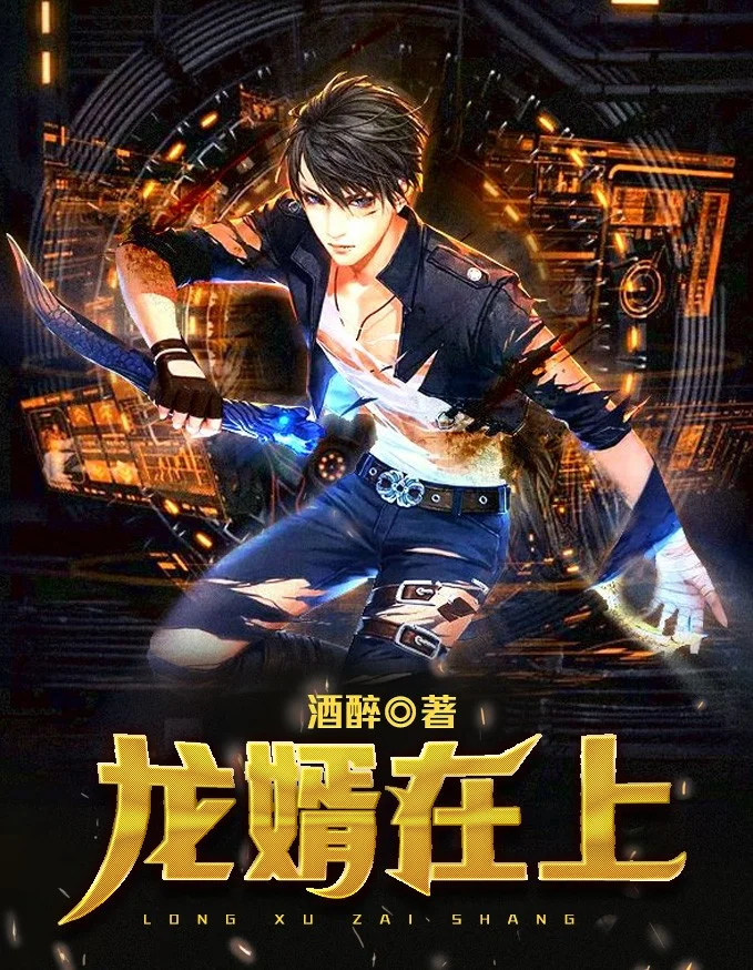 龍婿在上